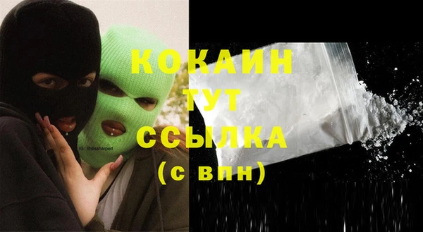 твердый Богородск