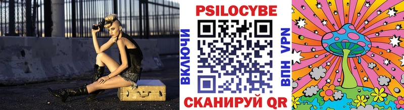 купить наркоту  Волосово  Псилоцибиновые грибы ЛСД 