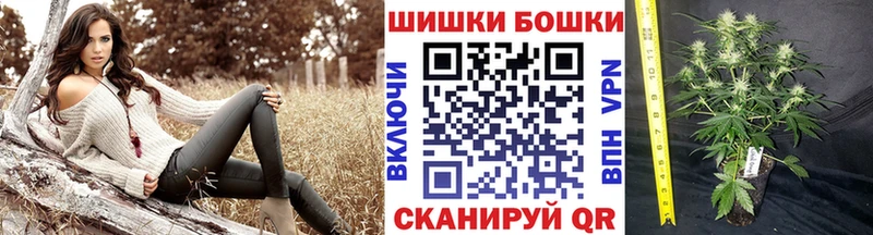 Конопля Amnesia  закладка  Волосово 